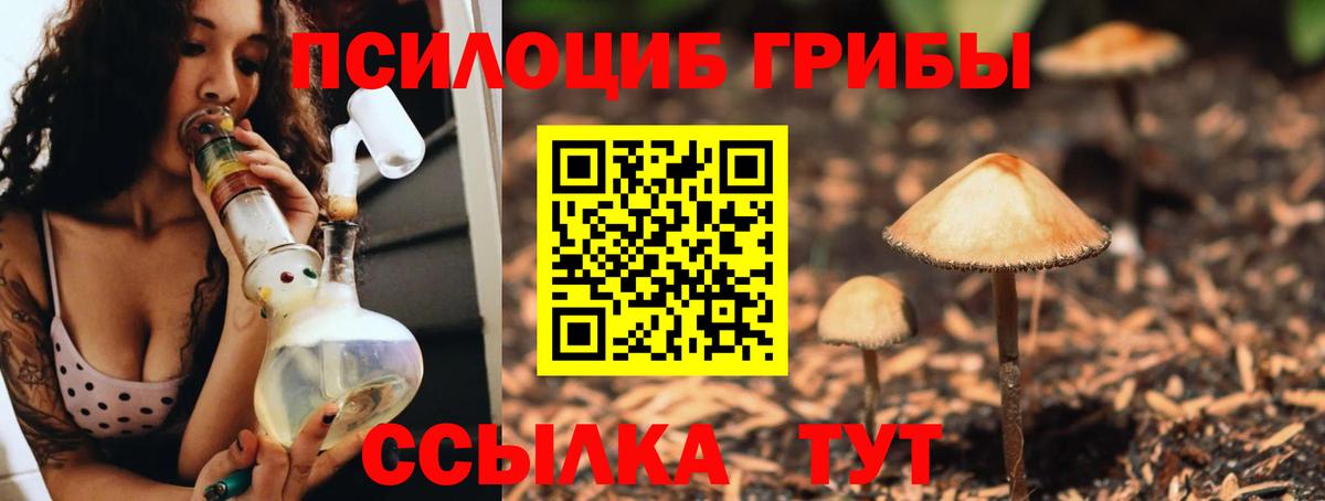 Галлюциногенные грибы мухоморы Белая Калитва